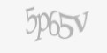 Захисний код