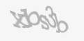 Захисний код