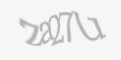 Захисний код