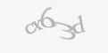 Захисний код