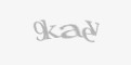 Захисний код