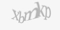 Захисний код
