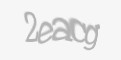 Захисний код