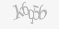 Захисний код