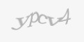 Захисний код
