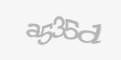 Захисний код