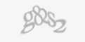 Захисний код
