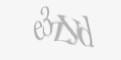 Захисний код