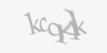 Захисний код