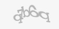 Захисний код
