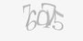 Захисний код