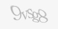 Захисний код