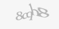 Захисний код