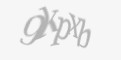 Захисний код